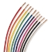 Automotive Primary Wire, 10 AWG, 1,000 Ft.  - 10zM